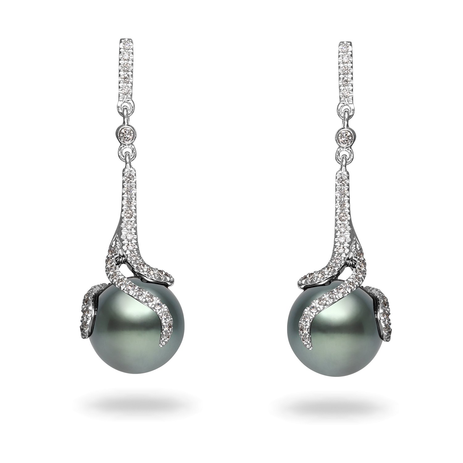 images 14Kt White Gold Tahitian Pearl Earrings
