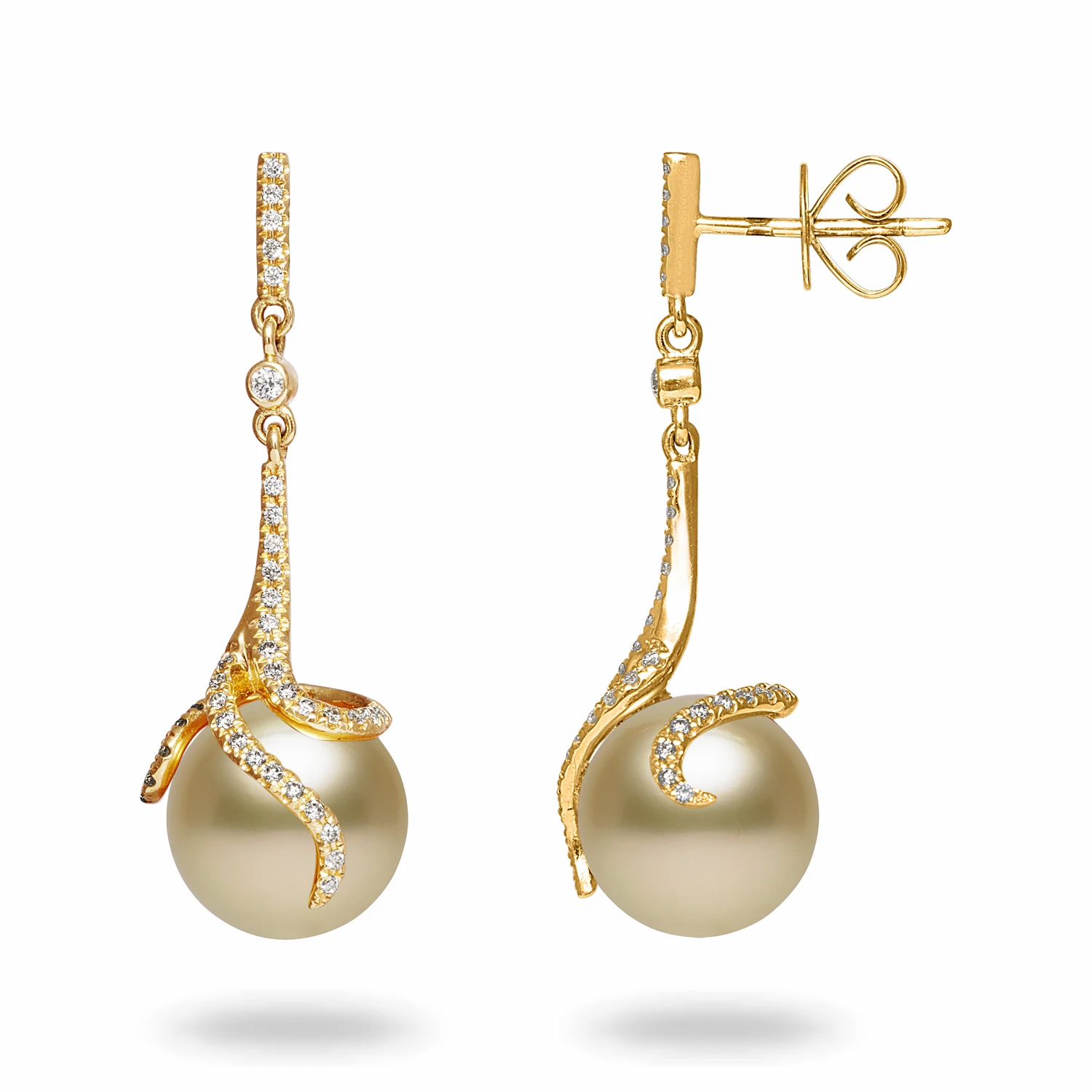 14 Karat Yellow Gold South Sea Pearl Earrings