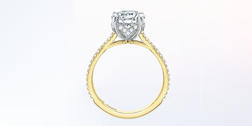 Setting-and-Height-img Aria Diamond Engagement Ring Setting