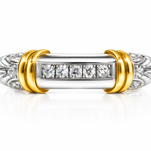 Aurelius Two Tone Diamond Band